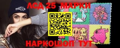 стаф Кингисепп