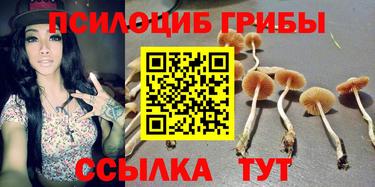 Псилоцибиновые грибы MAGIC MUSHROOMS Красный Сулин
