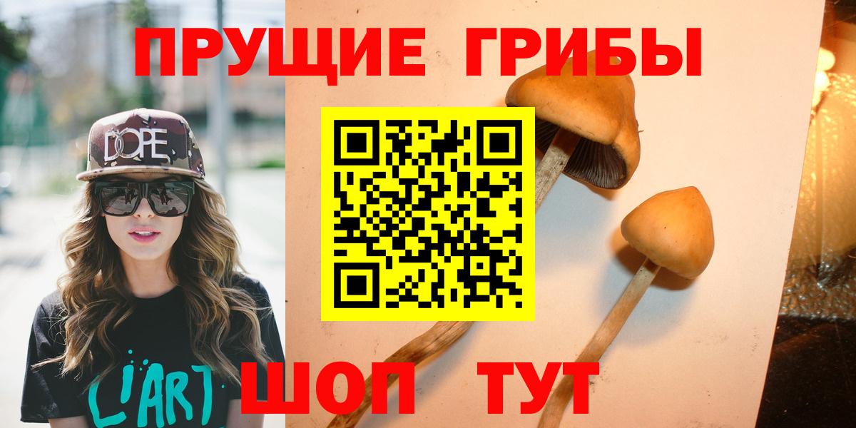 даркнет сайт  Вход с VPN  Красный Сулин  Псилоцибиновые грибы ЛСД  Псилоцибиновые грибы GOLDEN TEACHER 